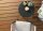 Diele Thermo-WPC 137 walnuss 25 × 137 × 3660 mm