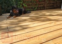 Diele Thermo-Kiefer mit Nut, gebürstet 26 × 140 × 5100 mm