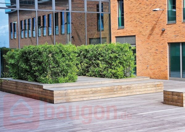 Diele Kebony Clear QLICK, bombiert glatt 22 × 118 Länge 3000 mm