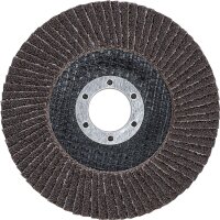 Fächer-Schleif-Scheibe | Ø 115 mm | K 40