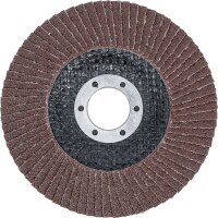 Fächer-Schleif-Scheibe | Ø 115 mm | K 80