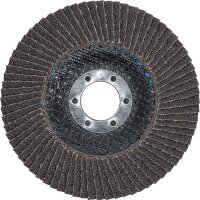 Fächer-Schleif-Scheibe | Ø 115 mm | K 60