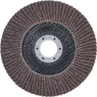 Fächer-Schleif-Scheibe | Ø 125 mm | K 40