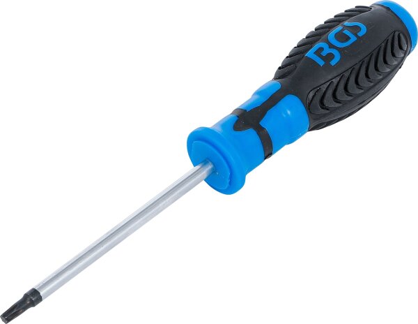 Schraubendreher | T-Profil (für Torx) T25 | Klingenlänge 100 mm