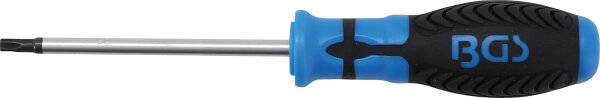Schraubendreher | T-Profil (für Torx) T27 | Klingenlänge 100 mm