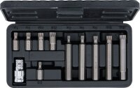 Bit-Satz | Antrieb Außensechskant 10 mm (3/8") | Innenvielzahn (für XZN) | 11-tlg.