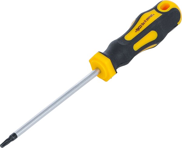 Schraubendreher | T-Profil (für Torx) T15 | Klingenlänge 100 mm