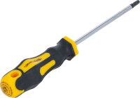 Schraubendreher | T-Profil (für Torx) T20 | Klingenlänge 100 mm