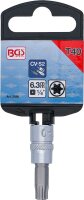Bit-Einsatz | Antrieb Innenvierkant 6,3 mm (1/4") | T-Profil (für Torx) T40