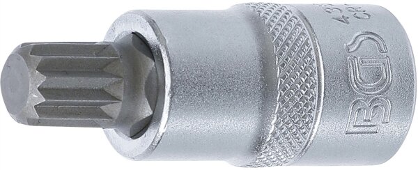 Bit-Einsatz | Antrieb Innenvierkant 12,5 mm (1/2") | Innenvielzahn (für XZN) M12