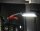 Akku-Knicklampe | COB-LED | 5 W