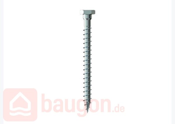 Eurotec Transportanker-Schraube 11 x 300 mm VE:20