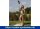 Dusche Helena WPC  ( 78325 )