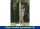 Dusche Ibiza WPC  ( 78326 )