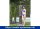 Dusche Bahama WPC  ( 78341 )