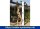 Dusche Tobago SOLAR - Glas weiss  ( 78403 )