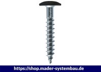 Eurotec Color-Fassadenschraube; Edelstahl A4; TX20; blank...