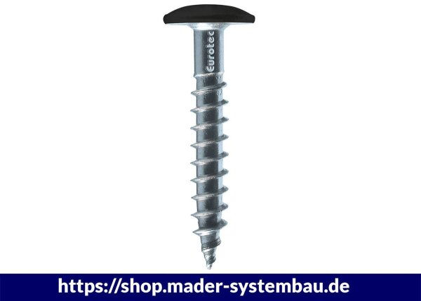 Eurotec Color-Fassadenschraube; Edelstahl A4; TX20; weiß RAL 9010 5,3 x 25 mm VE:100