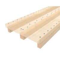 Eurotec Paneltwistec Tellerkopf AG Pressverleimung (Stronghead) TX40 8,0 x 220/135 mm VE:50
