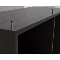 Eurotec Eco-Black-Tec; VG; verzinkt; TX20 4,0 x 40 mm VE:200