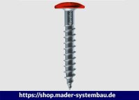 Eurotec Color-Fassadenschraube; Edelstahl A2; TX20; blank 4,8 x 25 mm VE:250