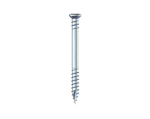Eurotec Terrassotec ZK Inox TX25 5,5 x 100 200 Stk./Eimer, Ziersenkkopf VE:200