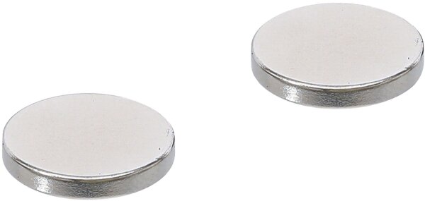 Magnet-Satz | extra stark | Ø 18 mm | 2-tlg.